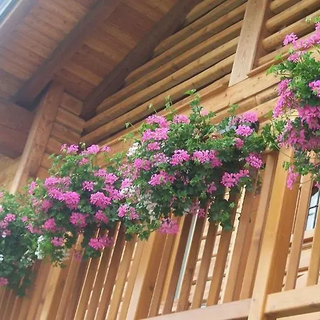 Gresil Apart-hotel Champoluc